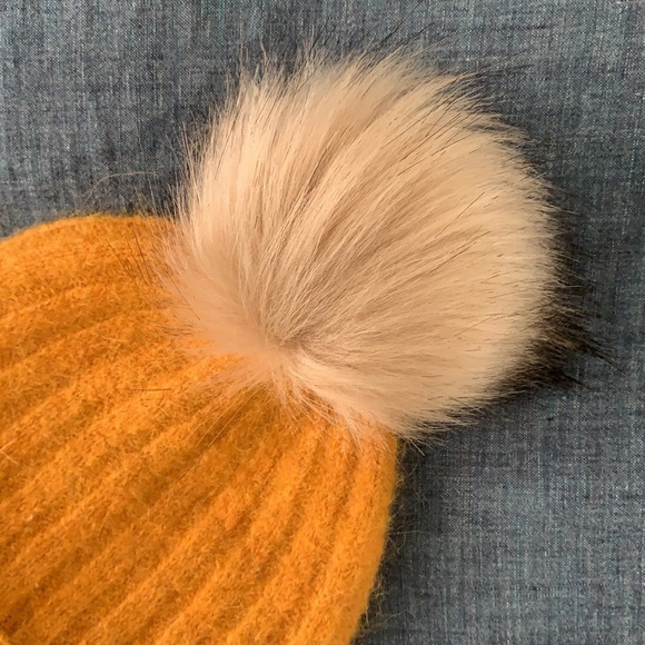 Aritzia Pom Pom Beanie - Picture 3 of 4
